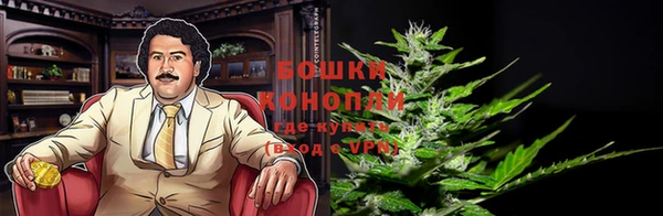 mdpv Богданович