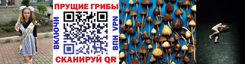 Купить Партизанск Псилоцибиновые грибы мухоморы